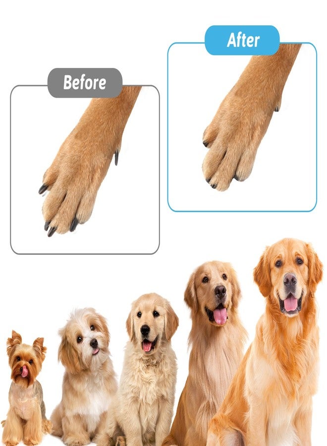 ADLABLD Dog Nail File with 6Pcs Replaceable Filing Disc, Dog Scratch Board for Safe and Easy Nail Care, Dogs Nails Scratch Board Ensures Smooth and Healthy Nails for Dogs and Cats - Image 4
